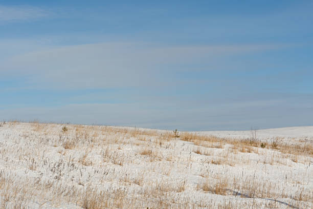 Hilly area with dry grass and snow. Winter nature landscape background stock photo