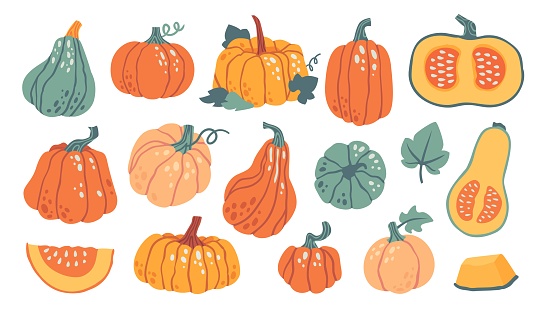 Hand drawn pumpkin shapes with leaves, half with seeds and slices. Autumn, fall, thanksgiving and halloween decoration. Cute pumpkins vector set