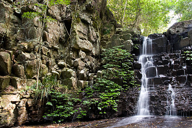 폴즈, 배링턴 탑스 국립 공원, 뉴 사우스 웨일즈, 호주 - rainforest australia river waterfall 뉴스 사진 이미지