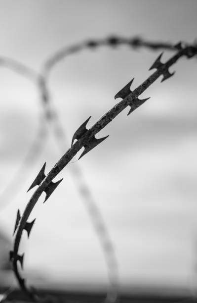 Is Razor Wire Really Sharp 5,400+ Razor Barbed Wire Stock Photos, Pictures & Royalty-Free Images ...