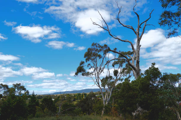istock Omeo,  Victoria,  Australia 1398703646