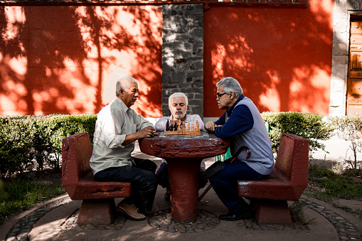 Senior men playing chess at the park
