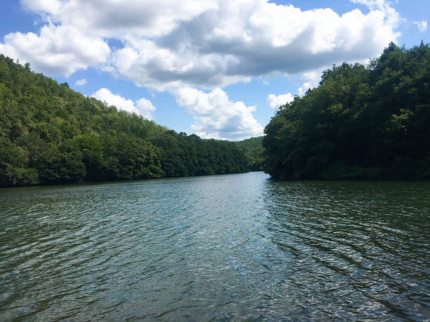 istock Calm river in the forest in sunny day 1398705306