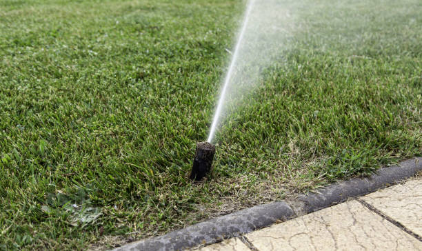 istock Sprinkler to water the lawn 1398706504