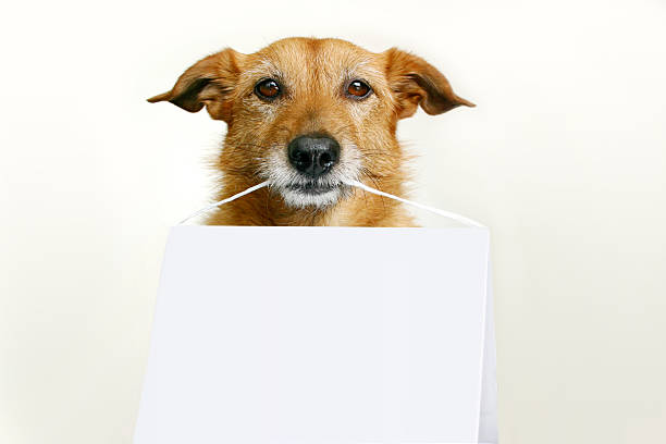 istock Dog holding blank sign 139870727