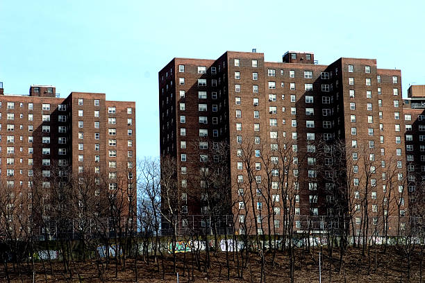 Public Housing Public housing in the Bronx, New York City council flat stock pictures, royalty-free photos & images