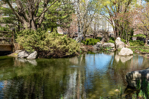Serene green space featuring Japanese-inspired gardens, walkways & structures, plus a duck pond, Mississauga, Canada.