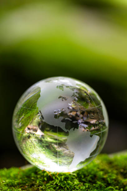 istock Globe On Mossy Rock In The Forest 1398710056