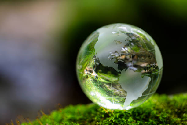 istock Globe On Mossy Rock In The Forest 1398710063