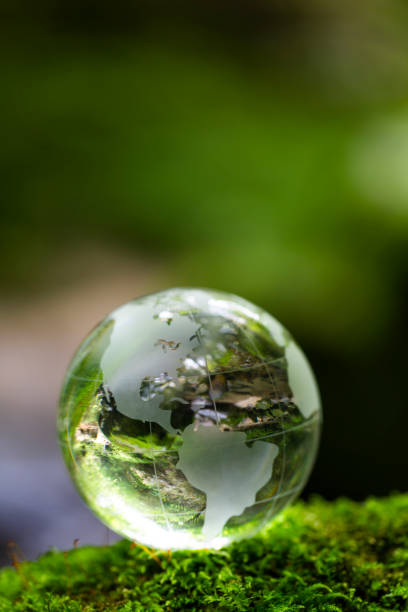 istock Globe On Mossy Rock In The Forest 1398710072