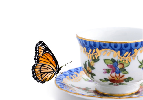 butterfly on a tea cup isolated on white