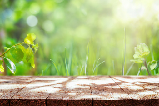 Spring or summer background. Empty rustic wooden table with defocused green lush foliage at background. Backdrop for product display on top of the table. Focus on foreground.