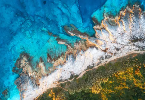 Photo of Aerial view of blue sea, rocks in clear water, beach, green trees at sunset in summer. Adriatic sea, Kamenjak, Croatia. Colorful landscape with rocky sea coast, stones in azure water, forest. Top view