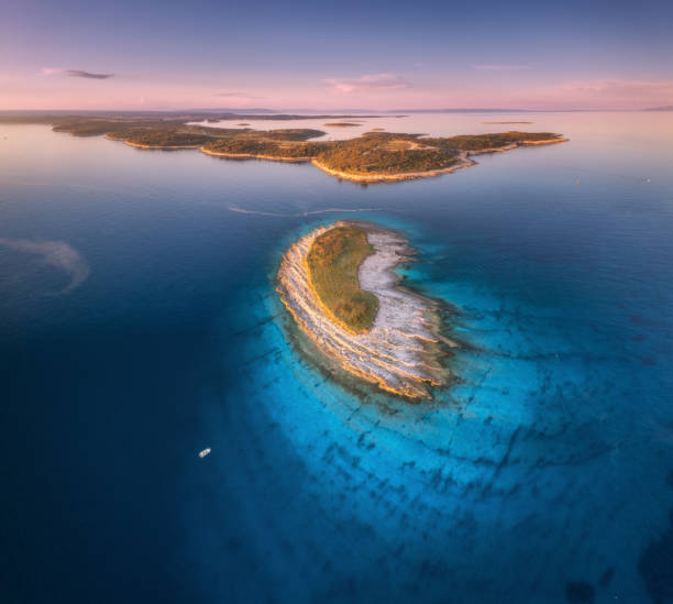 Aerial view of small island, Kamenjak cape, Adriatic sea, Croatia at sunset in summer. Beautiful landscape with sea coast, mountains, clear water, purple sky at twilight. Top view from drone. Panorama Aerial view of small island, Kamenjak cape, Adriatic sea, Croatia at sunset in summer. Beautiful landscape with sea coast, mountains, clear water, purple sky at twilight. Top view from drone. Panorama headland stock pictures, royalty-free photos & images