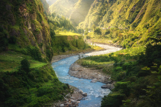 istock Colorful landscape with high Himalayan mountains, beautiful curving river, green forest, grass, yellow sunlight at sunrise in summer. Mountain canyon in Nepal in spring. Travel in Himalayas. Nature 1398712668