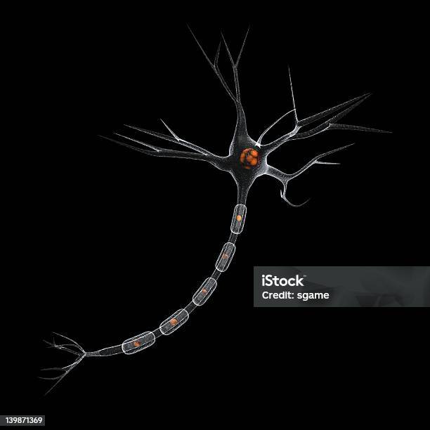 Neuron 신경세포에 대한 스톡 사진 및 기타 이미지 - 신경세포, 가지돌기, 건강관리와 의술