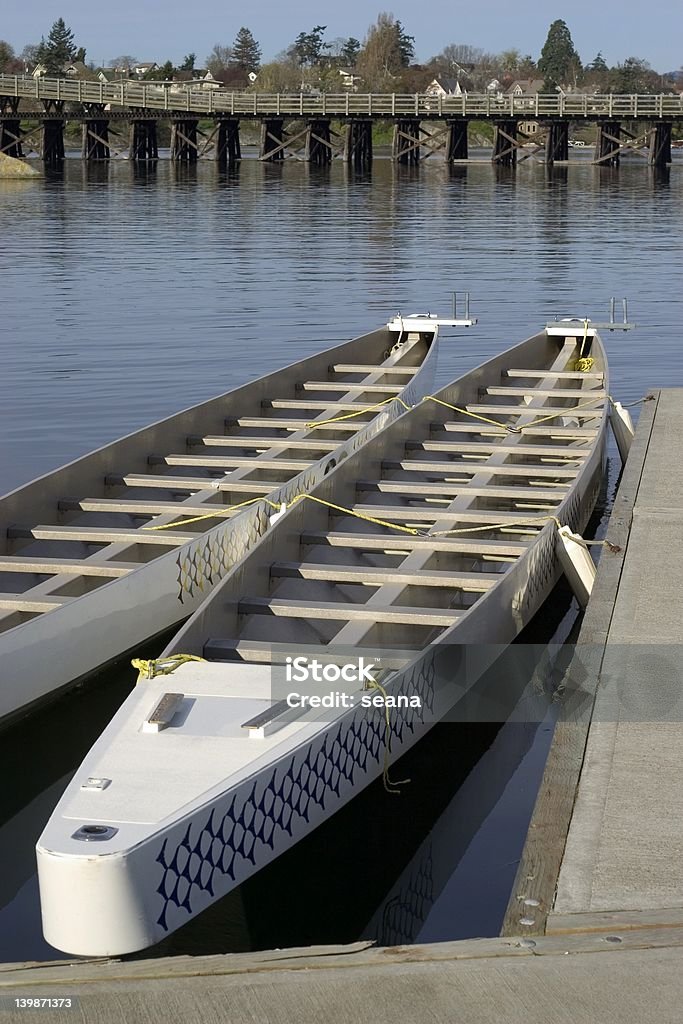 Dragon "s on the Water - Foto stock royalty-free di Acqua