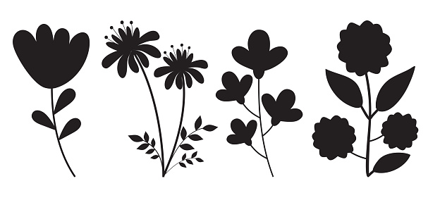 Set of Silhouette flowers and leaves collection.