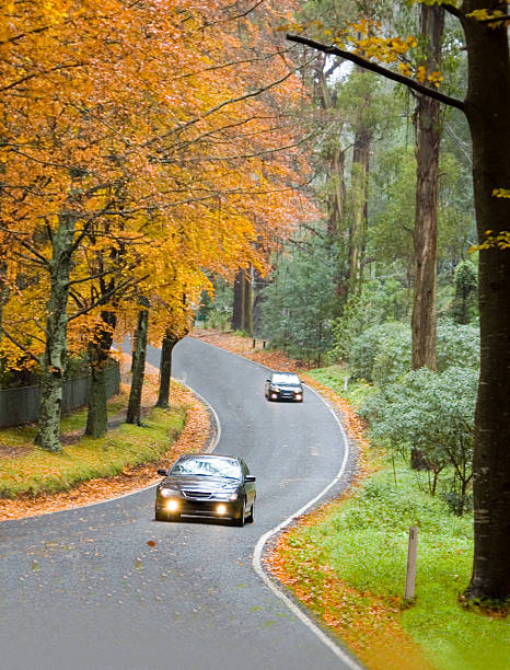 Two cars on a country road through the forest in autumn stock photo