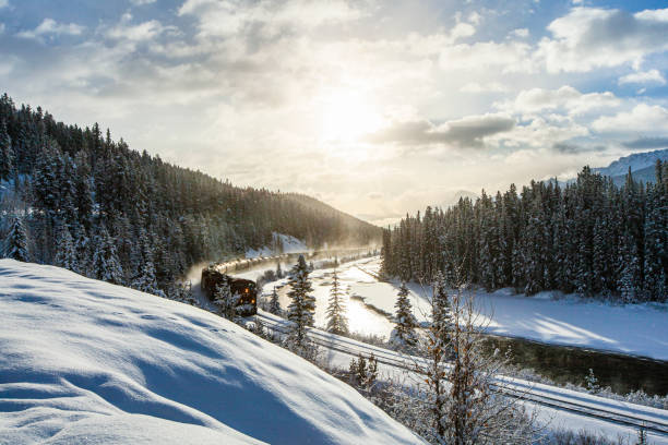 dampfzug, der durch die schneebedeckte landschaft mit pinien, bergen und dramatischem himmel fährt - locomotive steam train train snow stock-fotos und bilder