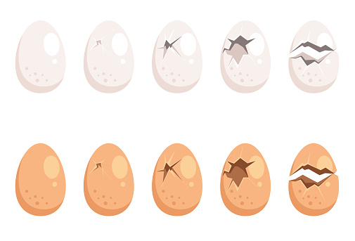 Broken egg isolated set collection. Vector flat cartoon design illustration