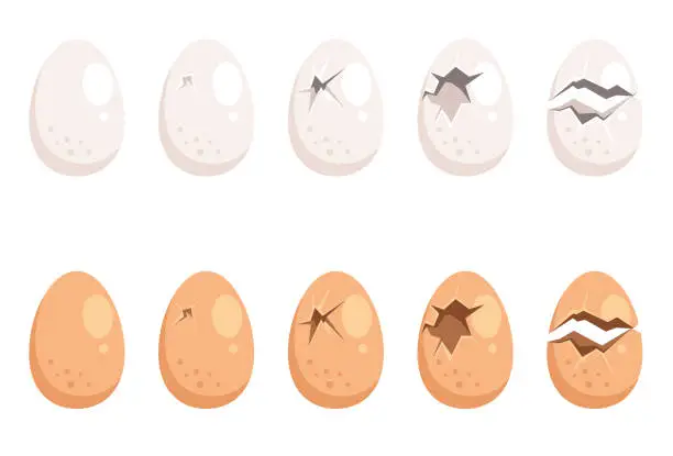 Vector illustration of Broken egg isolated set collection. Vector flat cartoon graphic design illustration