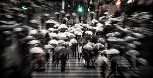 Tokyo, Japan - November 25, 2012 : a rush hour crowd of  pedestrians is crossings a big square in the metropolitan area with umbrellas above there had.