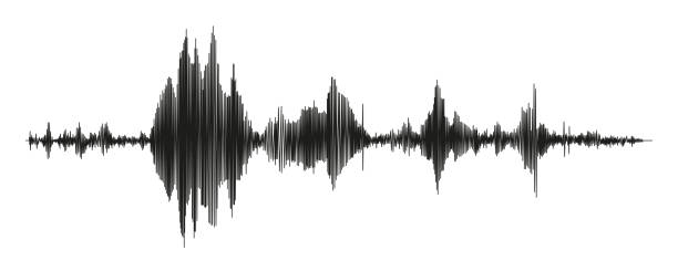 Seismograph measurement or lie detector graph. Seismic measurements with data record. Vector illustration Seismograph measurement or lie detector graph. Seismic measurements with data record. Vector illustration isolated in white background seismology stock illustrations