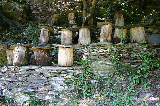 Wooden Beehives stock photo