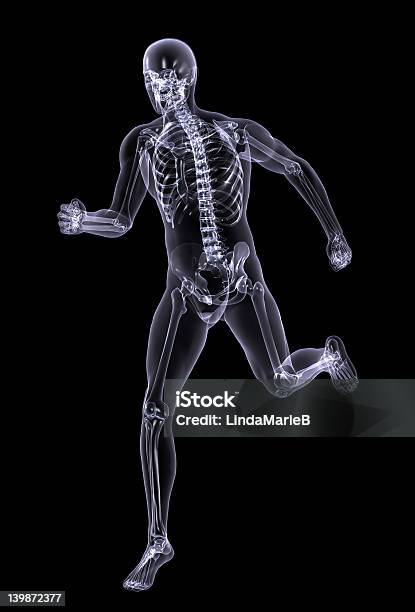 Photo libre de droit de Xray Running Homme Avec Un Tracé De Détourage banque d'images et plus d'images libres de droit de Activité - Activité, Adulte, Anatomie