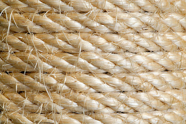 istock Sisal Rope used by Cats 139872457