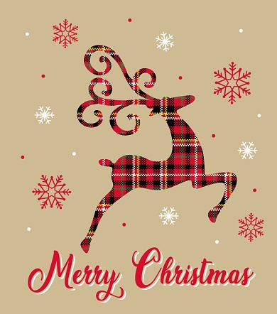 Christmas Reindeer with plaid pattern and Snowflakes-Christmas Vector design