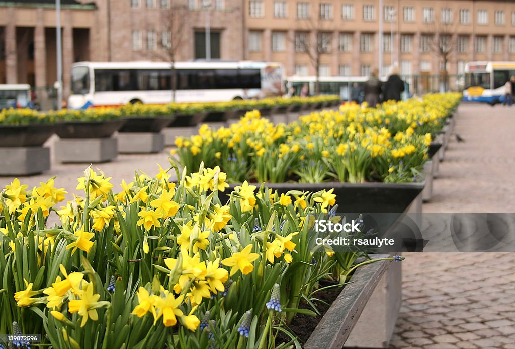 Helsinki - Foto de stock de Autobús libre de derechos