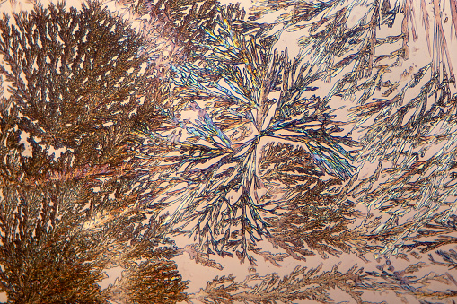 Photomicrograph of sodium bicarbonate (baking soda) crystals in fern like patterns. Dry mount, 10X, transmitted polarized illumination. Note - very shallow depth of field, chromatic aberration and uneven focus are inherent in light microscopy.