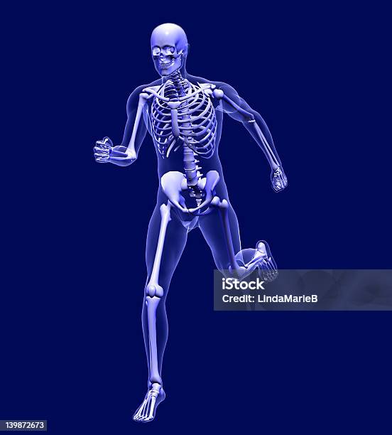 Xray Uomo In Esecuzione 2 Con Clipping Path - Fotografie stock e altre immagini di Correre - Correre, Scheletro Umano, Blu