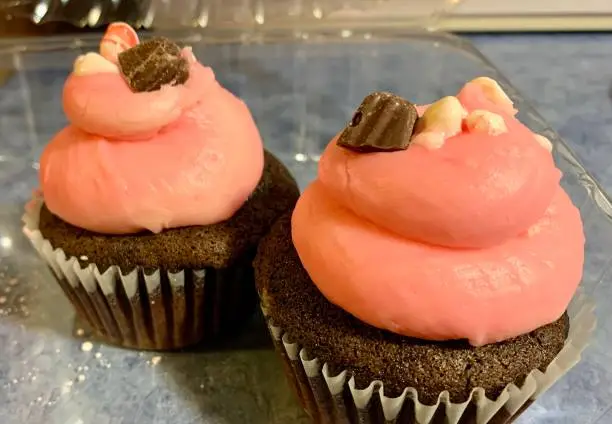 Delicious chocolate cupcakes with pink raspberry frosting