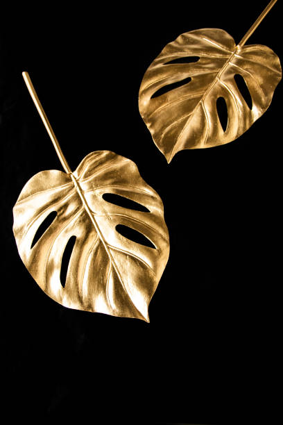 istock Golden Monstera design of black background 1398727875