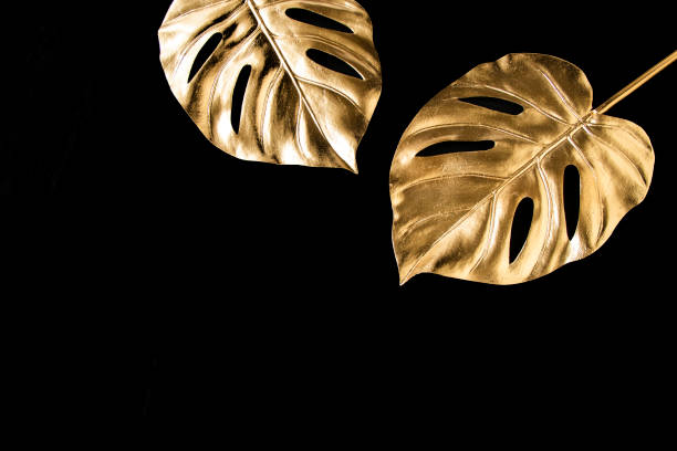 Golden Monstera design of black background