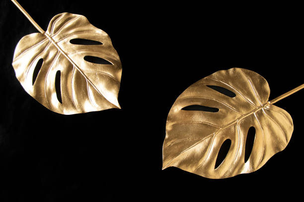 istock Golden Monstera design of black background 1398727891