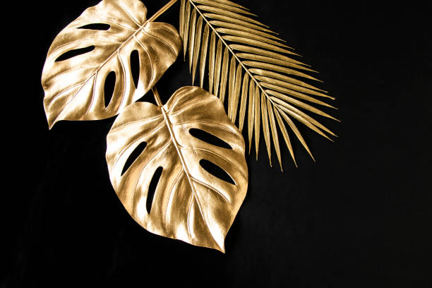 istock Golden Monstera design of black background 1398727896