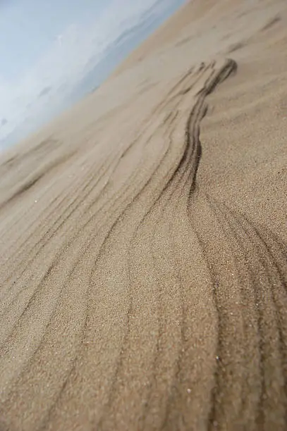 Waves created by wind in the sand