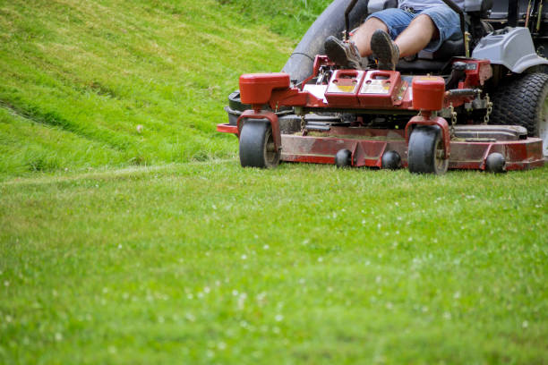 istock Man mows lawn using gasoline-powered self-propelled lawn mower 1398731814