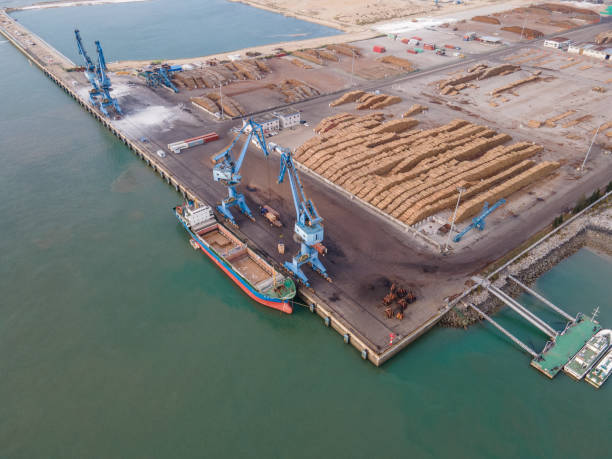 istock Aerial view of the timber port 1398732955