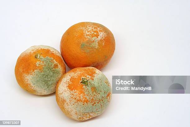 Foto de Mouldy Laranja e mais fotos de stock de Apodrecer - Apodrecer, Bactéria, Branco