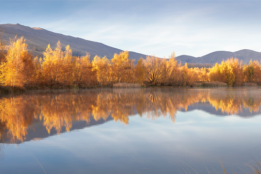 The first rays of the rising sun hit the trees full of golden autumn colour, illuminating them from behind. The trees and the mountain range behind them are reflected in the still water.