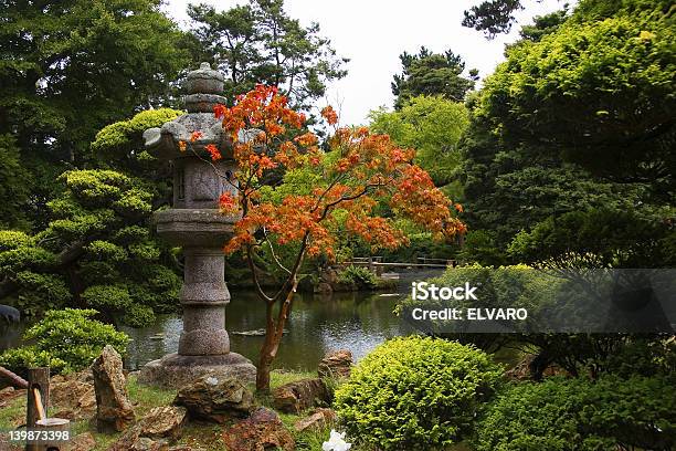 Jardim Asiático - Fotografias de stock e mais imagens de Ao Ar Livre - Ao Ar Livre, Asiático e indiano, Canteiro de flores
