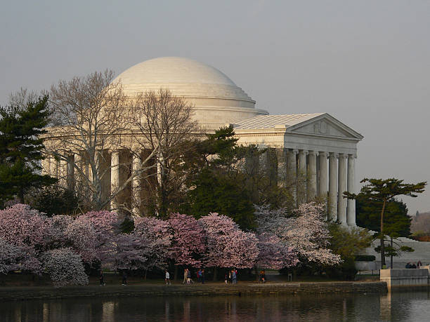 Jefferson Memorial in Washington DC during the Cherry Blossom Festival in the Spring.