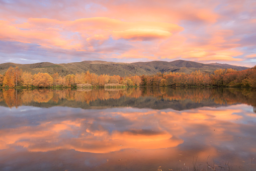 A colourful sunset compliments the golden autumn colours of the trees along the shoreline. The whole scene is reflected in the still water. The location is the Wairepo Arm, one of the beautiful ponds just south of Twizel on the South Island of New Zealand. Please also see the image taken a few minutes later, where the sky turns cool to contrast the colour of the trees.