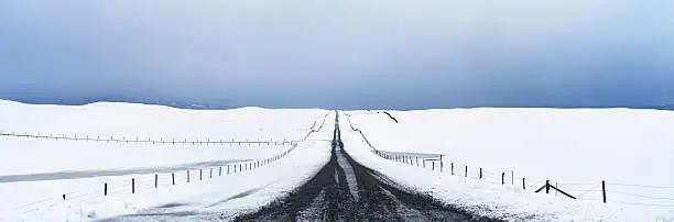 Country farm road near Mountainview, Alberta, Canada after a very rare June snowstorm. File from Fuji GX617 transparency scanned on Nikon 8000ED. 