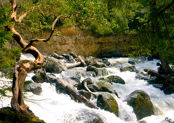 Rogue River, Prospect, Oregon stock photo